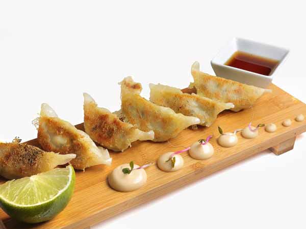 gyozas de plaza-goya